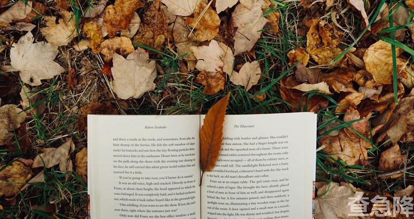 查急降,查急降官网,免费论文查重,免费论文查重修