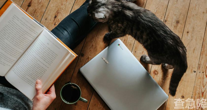 查急降,查急降官网,免费论文查重,免费论文查重修