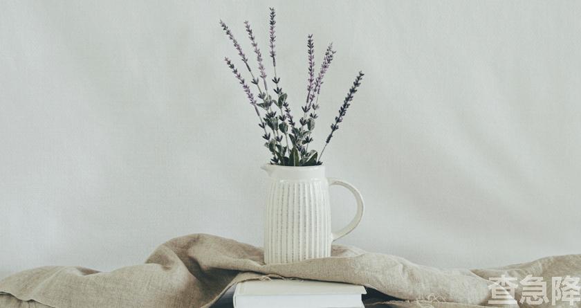 查急降,查急降官网,免费论文查重,免费论文查重修